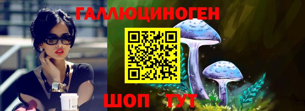 Псилоцибиновые грибы мухоморы Новоалтайск